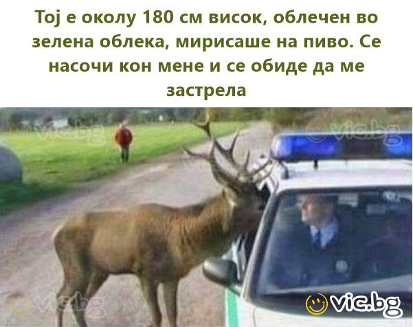 Тој е околу 180 см висок, облечен во зелена облека, мирисаше на пиво. Се насочи кон мене и се обиде да ме застрела