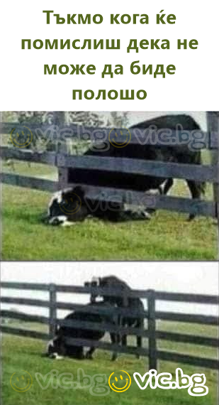 Тъкмо кога ќе помислиш дека не може да биде полошо