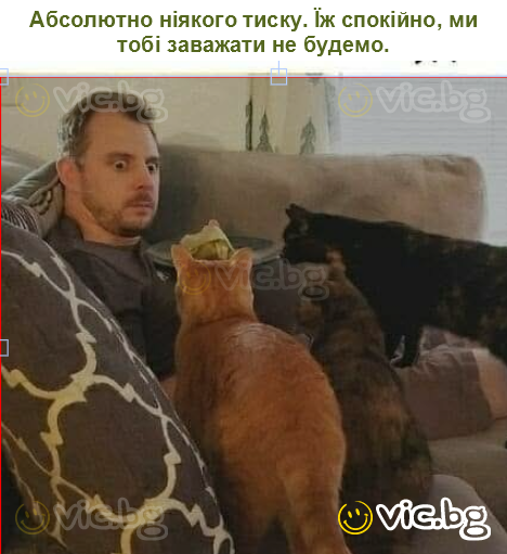 Абсолютно ніякого тиску. Їж спокійно, ми тобі заважати не будемо.