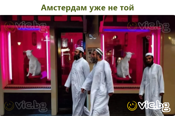 Амстердам уже не той