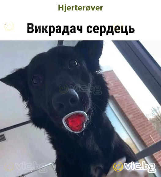 Викрадач сердець