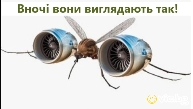 Вночі вони виглядають так!