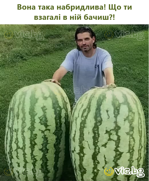 Вона така набридлива! Що ти взагалі в ній бачиш?!