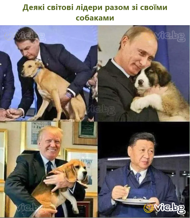 Деякі світові лідери разом зі своїми собаками