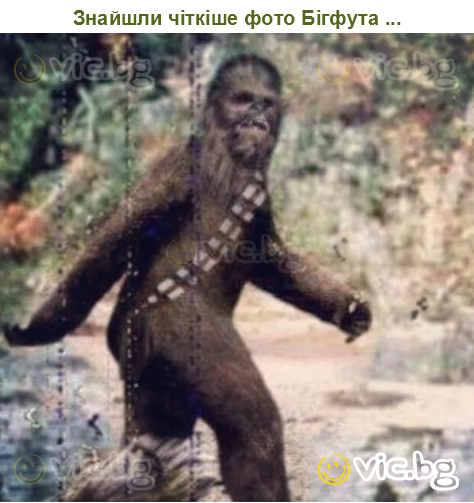 Знайшли чіткіше фото Бігфута ...