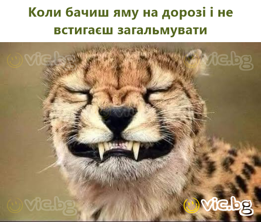 Коли бачиш яму на дорозі і не встигаєш загальмувати