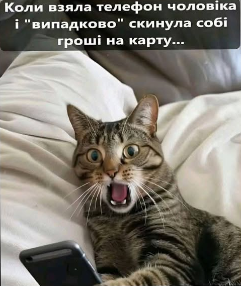 Коли взяла телефон чоловіка і "випадково" скинула собі гроші на карту...