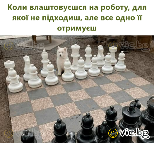 Коли влаштовуєшся на роботу, для якої не підходиш, але все одно її отримуєш