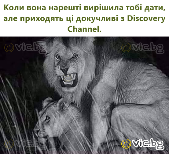 Коли вона нарешті вирішила тобі дати, але приходять ці докучливі з Discovery Channel.