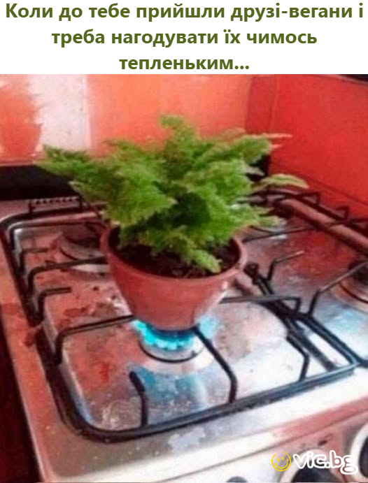 Коли до тебе прийшли друзі-вегани і треба нагодувати їх чимось тепленьким...