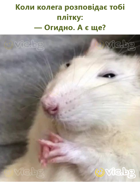 Коли колега розповідає тобі плітку: — Огидно. А є ще?