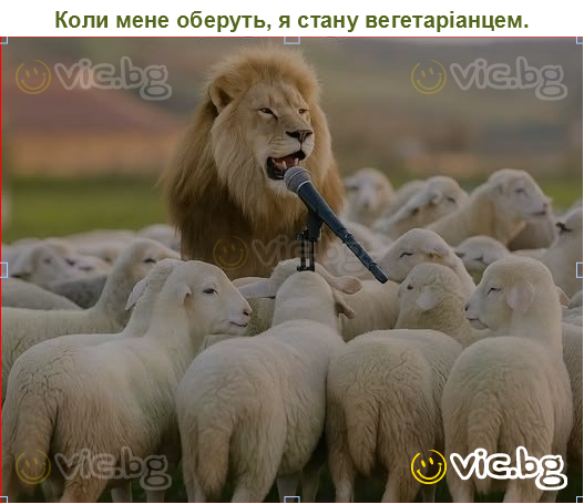 Коли мене оберуть, я стану вегетаріанцем.
