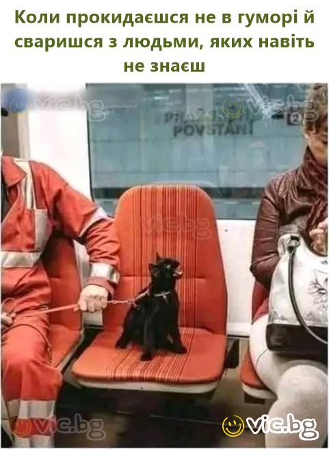 Коли прокидаєшся не в гуморі й сваришся з людьми, яких навіть не знаєш