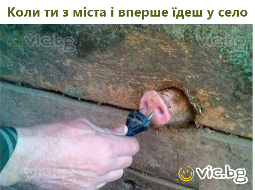 Коли ти з міста і вперше їдеш у село