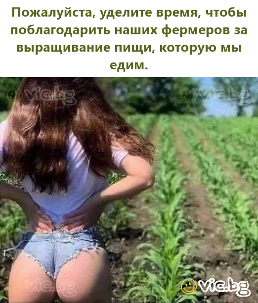 Коли ти намагаєшся поговорити з іншим дорослим, а твої діти граються позаду тебе