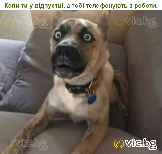Коли ти у відпустці, а тобі телефонують з роботи.