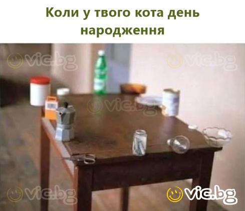 Коли у твого кота день народження