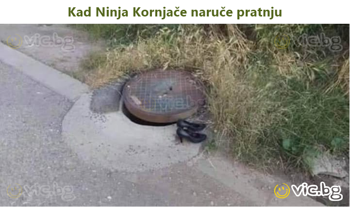 Коли Черепашки-ніндзя замовляють ескорт