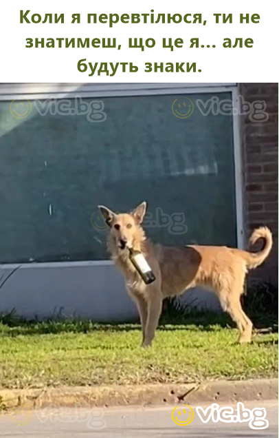 Коли я перевтілюся, ти не знатимеш, що це я… але будуть знаки.