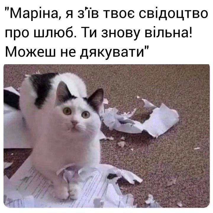 "Маріна, я зʼїв твоє свідоцтво про шлюб. Ти знову вільна! Можеш не дякувати"