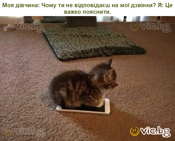 Моя дівчина: Чому ти не відповідаєш на мої дзвінки? Я: Це важко пояснити.