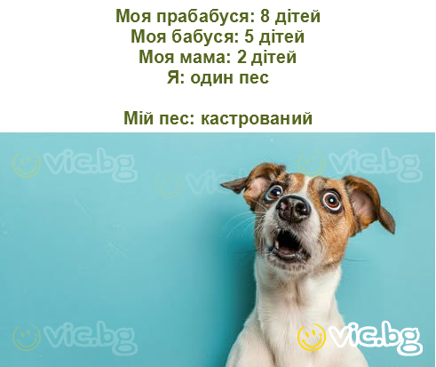 Моя прабабуся: 8 дітей
Моя бабуся: 5 дітей
Моя мама: 2 дітей
Я: один пес

Мій пес: кастрований