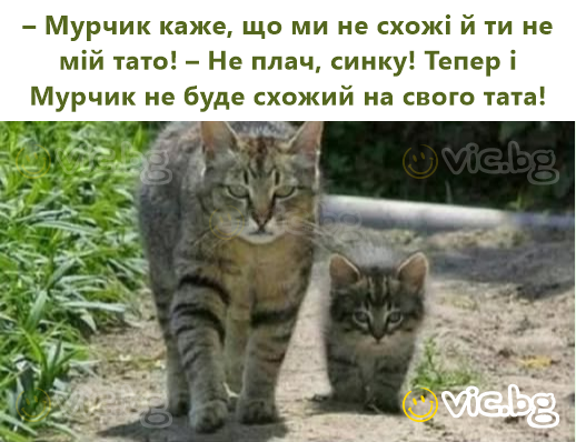 – Мурчик каже, що ми не схожі й ти не мій тато! – Не плач, синку! Тепер і Мурчик не буде схожий на свого тата!
