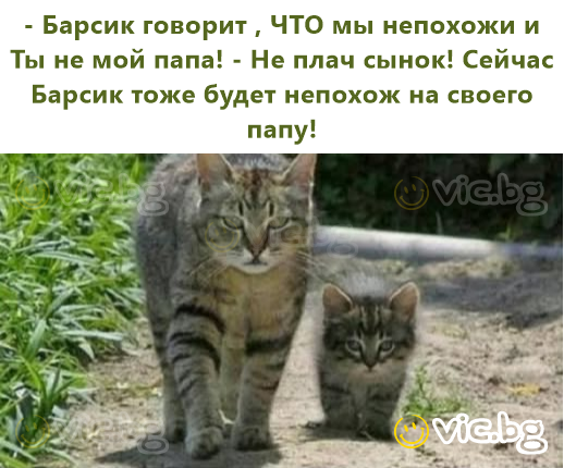 – Мурчик каже, що ми не схожі й ти не мій тато! – Не плач, синку! Тепер і Мурчик не буде схожий на свого тата!