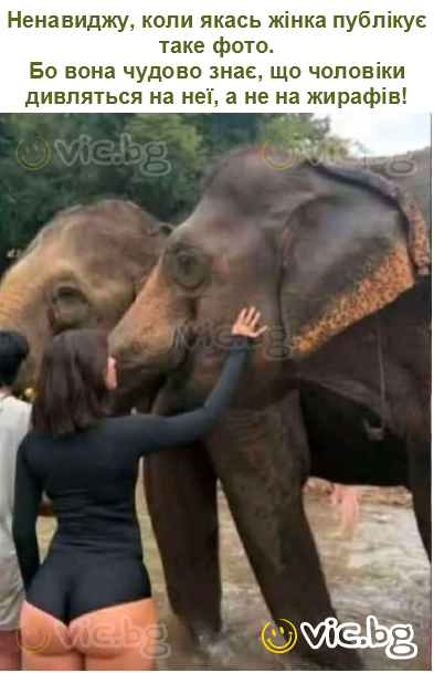 Ненавиджу, коли якась жінка публікує таке фото.
Бо вона чудово знає, що чоловіки дивляться на неї, а не на жирафів!