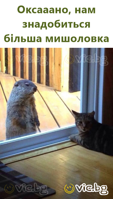 Оксааано, нам знадобиться більша мишоловка
