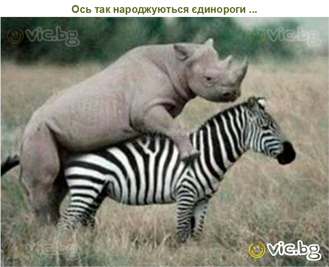 Ось так народжуються єдинороги ...