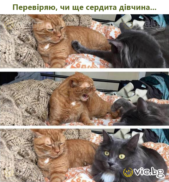 Перевіряю, чи ще сердита дівчина...
