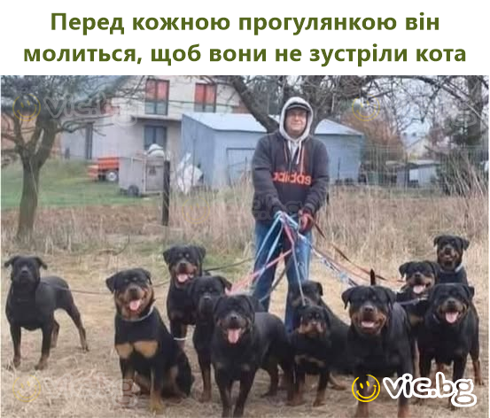 Перед кожною прогулянкою він молиться, щоб вони не зустріли кота