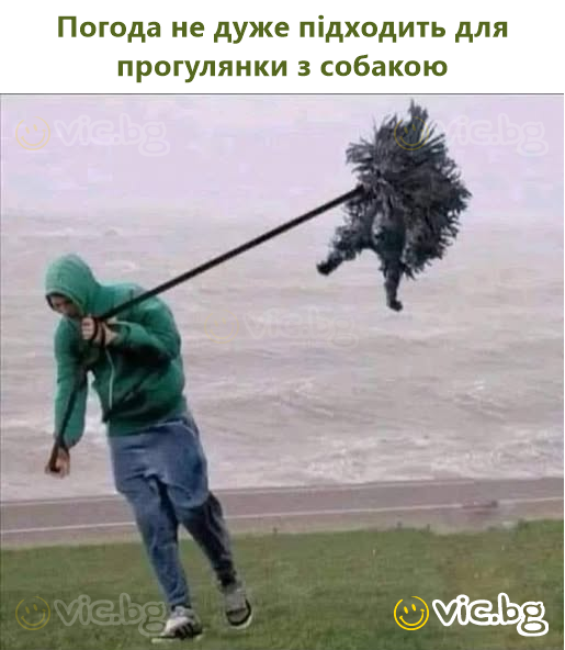 Погода не дуже підходить для прогулянки з собакою