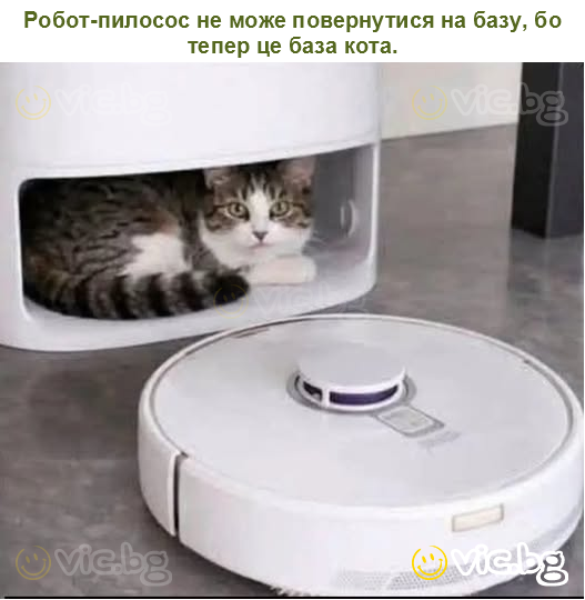 Робот-пилосос не може повернутися на базу, бо тепер це база кота.