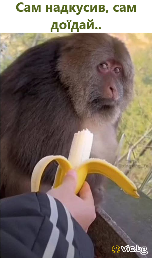 Сам надкусив, сам доїдай..