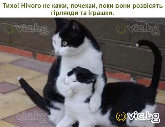 Тихо! Нічого не кажи, почекай, поки вони розвісять гірлянди та іграшки.