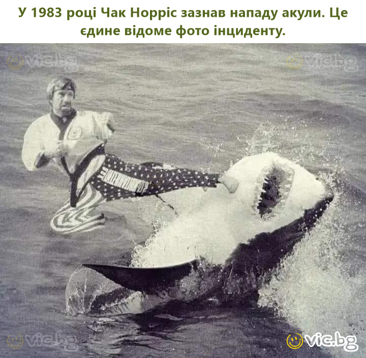 У 1983 році Чак Норріс зазнав нападу акули. Це єдине відоме фото інциденту.