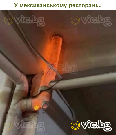 У мексиканському ресторані...