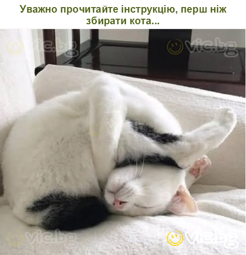 Уважно прочитайте інструкцію, перш ніж збирати кота...