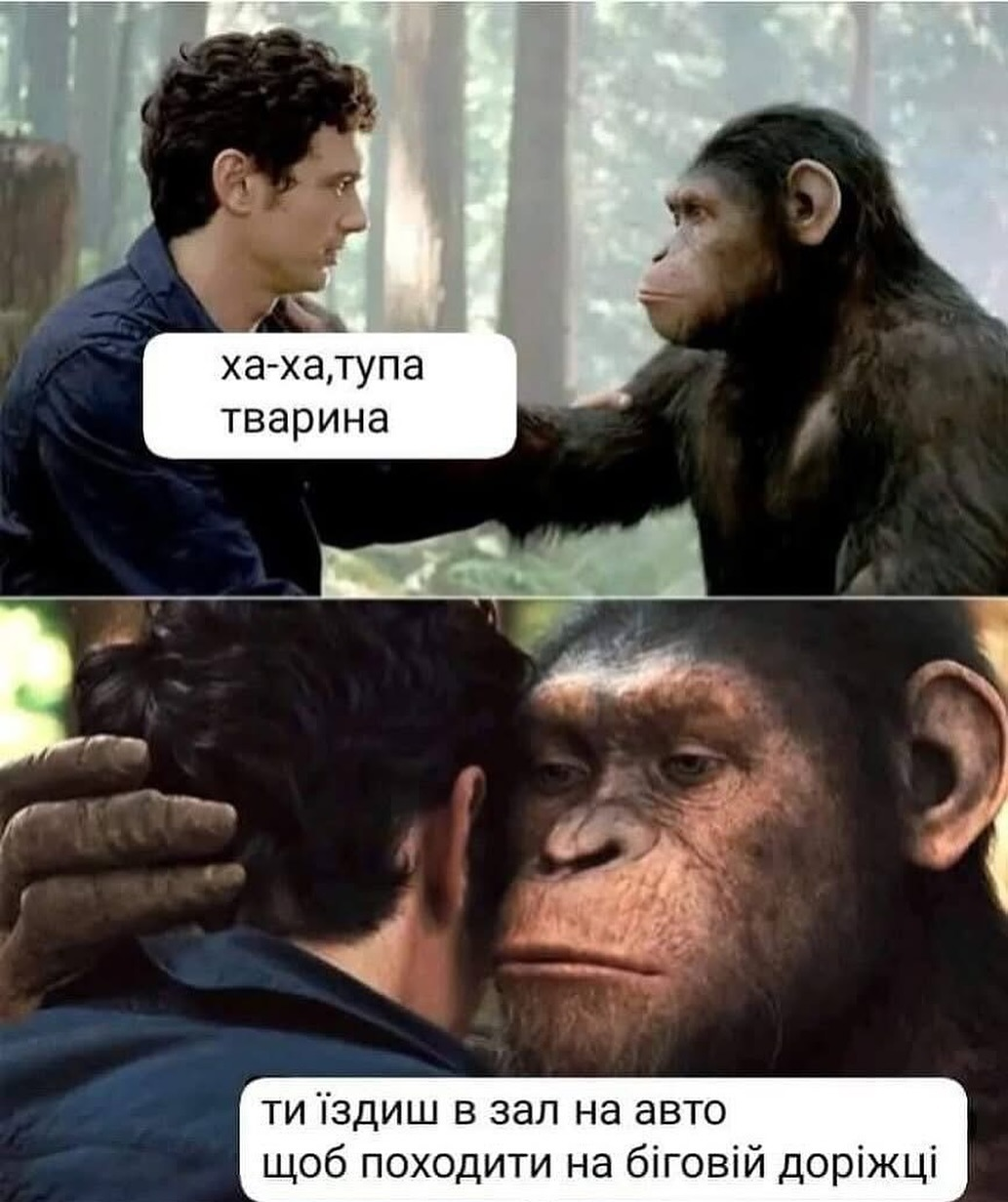 — Ха-ха,тупа тварина. — Ти їздиш в зал на авто щоб походити на біговій доріжці