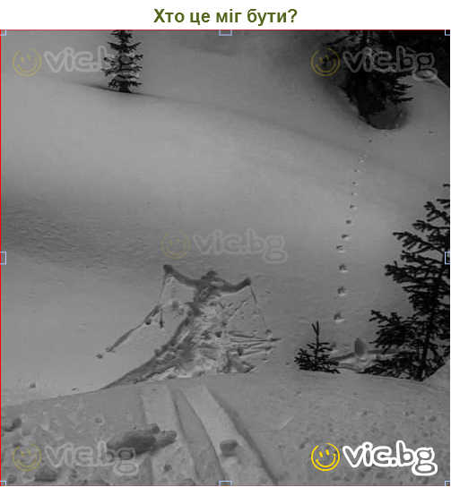 Хто це міг бути?