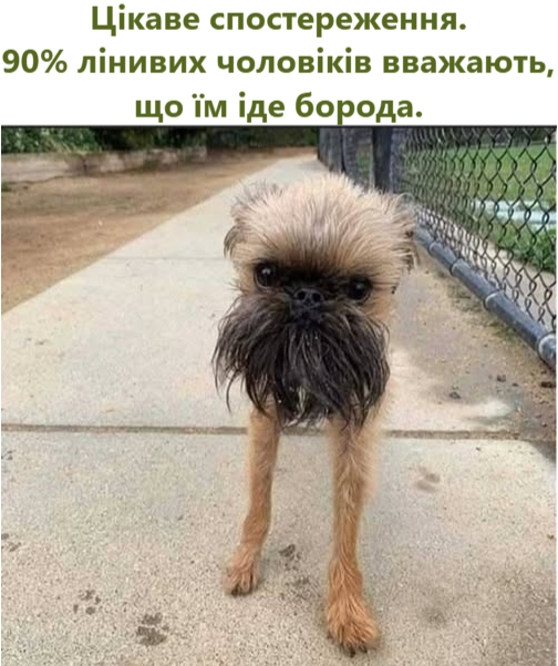 Цікаве спостереження. 90% лінивих чоловіків вважають, що їм іде борода.