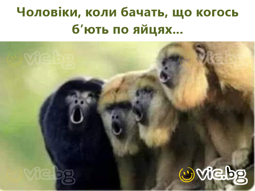 Чоловіки, коли бачать, що когось б’ють по яйцях...