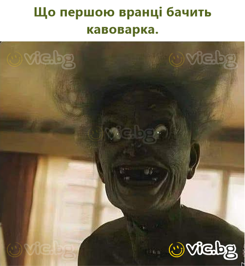 Що першою вранці бачить кавоварка.