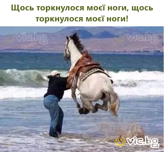 Щось торкнулося моєї ноги, щось торкнулося моєї ноги!
