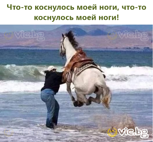 Щось торкнулося моєї ноги, щось торкнулося моєї ноги!