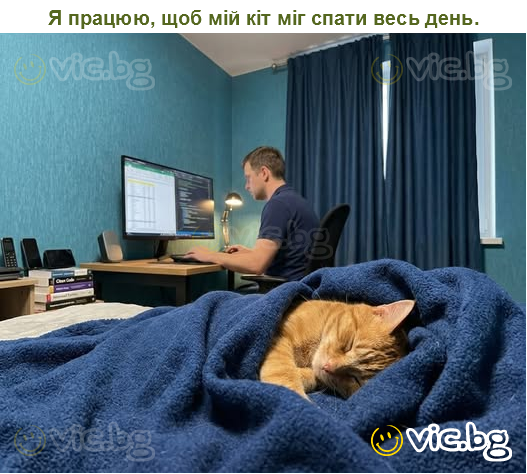 Я працюю, щоб мій кіт міг спати весь день.