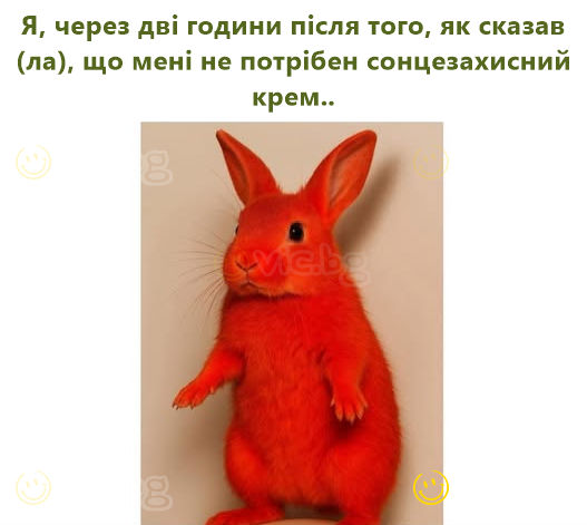 Я, через дві години після того, як сказав(ла), що мені не потрібен сонцезахисний крем..