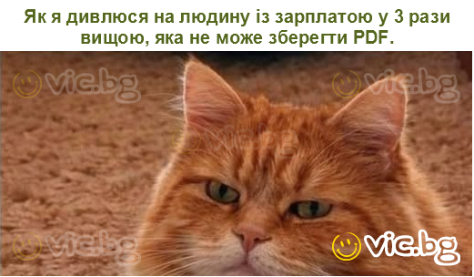 Як я дивлюся на людину із зарплатою у 3 рази вищою, яка не може зберегти PDF.